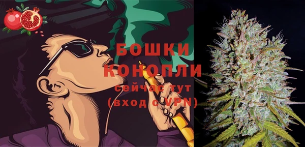 дурь Заводоуковск