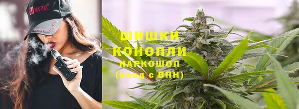 дурь Заводоуковск