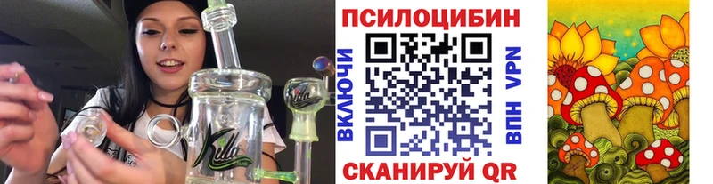 Купить  Рошаль  Псилоцибиновые грибы мицелий 